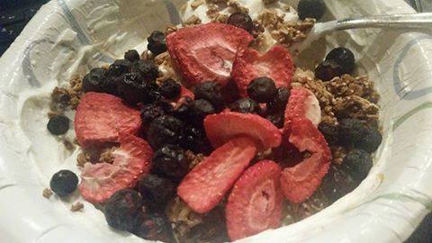 Healthy Dried Fruit Snacks Freeze Dried Blueberries Whole Origin Chili  Whatsapp +8613780690216