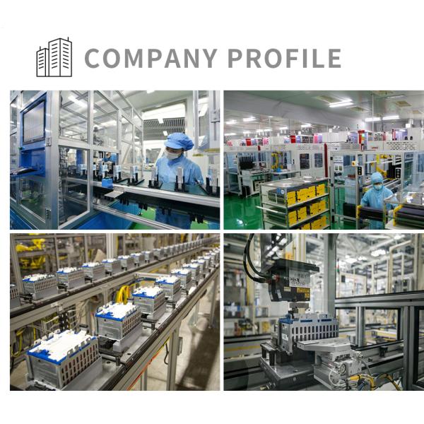 Bateria de alta capacidade do carrinho de golfe do lítio de 48V 150AH com vida de ciclo longa