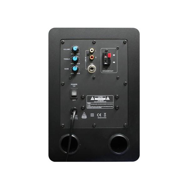 E606 Active Studio Monitor 50W Wood Cabinet Bookshelf Speaker
