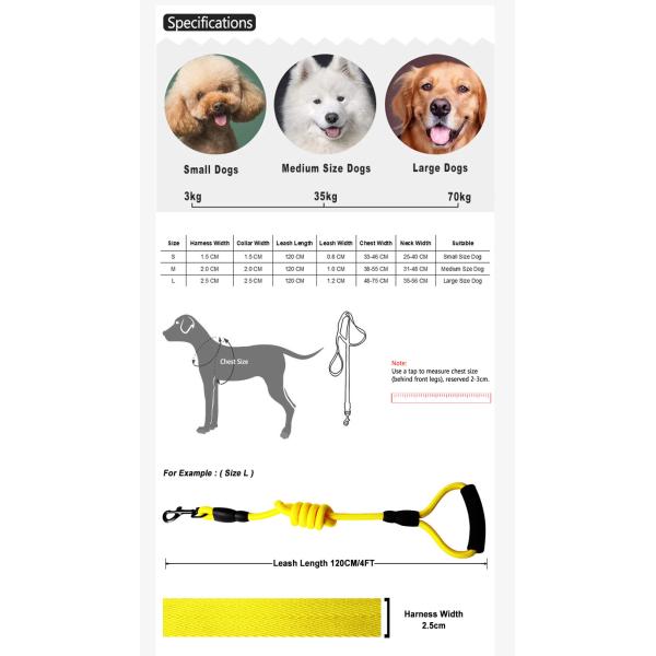 Fancy Dog Collar Harness And Leash Set For Daily Walking