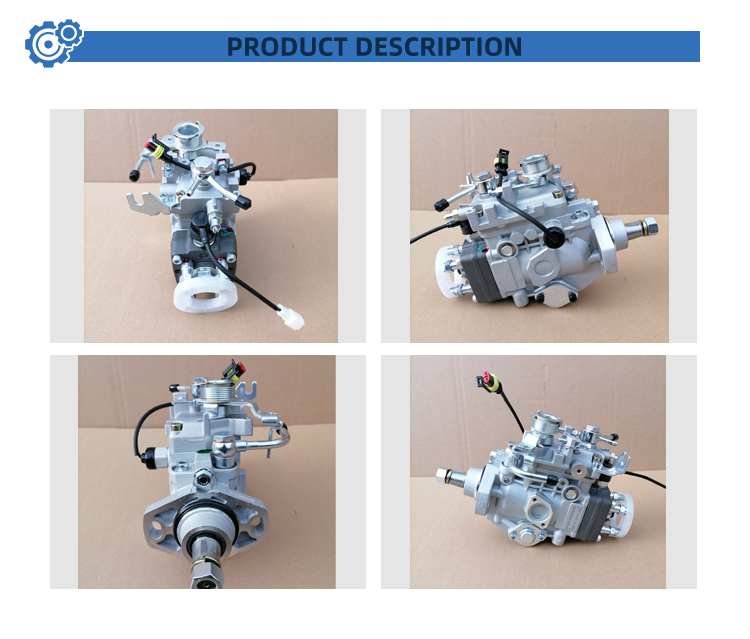 Standard Size 104645-9830 104745-9830 NP-VE4/10F2100RNP1665 Steel Diesel Fuel Pump Assembly VE Series for DPICO 12 Months