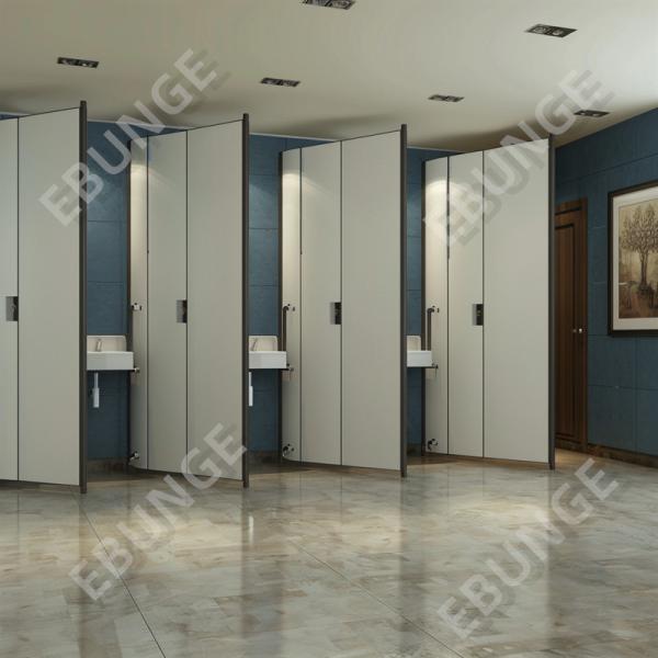 Customized Modern 304 Stainless Steel Toilet Partitions With Complete Privacy