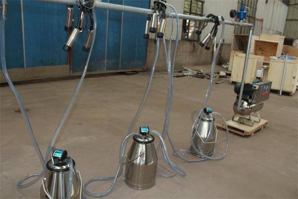 550L Vacuum Pump Portable Bucket Milking Machine for Cow with 380 Voltage - 60Hz