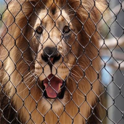 Aviary Wire Mesh Fence Panels Balustrade Stainless Steel 3.0mm Plant Climbing Mesh