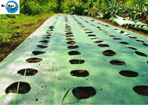 Wholesale Ground Cover 100% Virgin PP Landscape Weed Control Mat Fabric High Quality