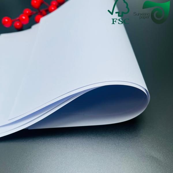 Papier sans bois non recouvert de 70 et 80 livres avec une excellente absorption d'encre disponible sous forme de bobine ou de feuille