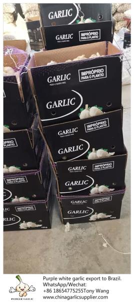 China garlic to Brazil