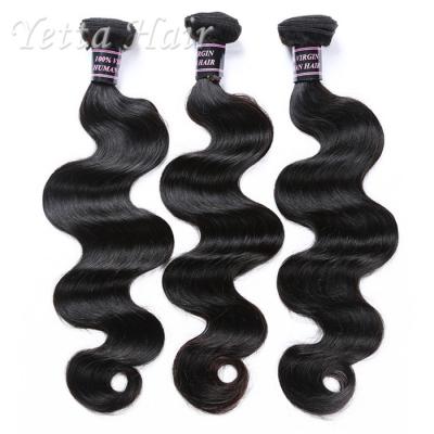 Extensões indianas não processadas elegantes do cabelo encaracolado sem o odor hediondo