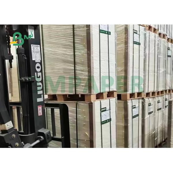140 micron 120gsm Food Grade White Kraft Paper For Cone Cup 70mm 85mm