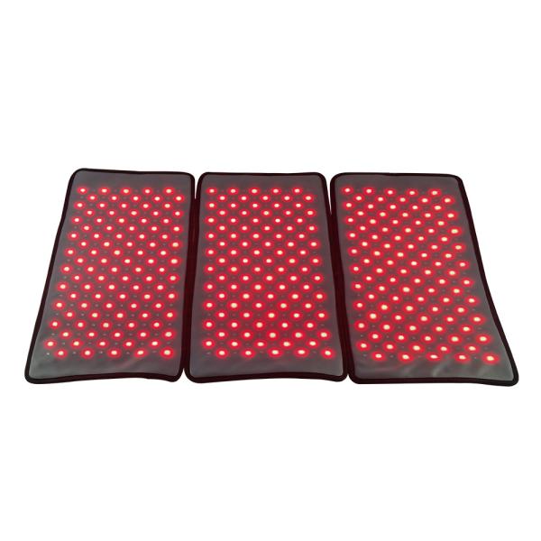 3 In 1 Removable Body Sculpting Weight Loss Red Light Therapy Machine 660nm 850nm