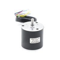 Volt sem escova de pouco peso 11W 0.035nm 42BLY01C 002 de Polo 24 do motor 4 da C.C. 3000RPM