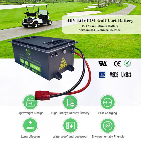 CTS 48V Golf Cart Lithium Battery 72V 48V 105Ah 150Ah 230Ah 5Kw 10Kw Lifepo4 Lithium Ion Batteries for Golf Cart Motorcycle