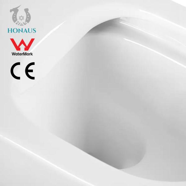 Watermark CE Wall Hanging Commode Rimless Water Closet Washdown Type