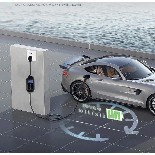 RDC Hot Sales IP67 3.5KW 7KW Black Fast Portable EV Charger For Tesla EV Car Special Vehicle
