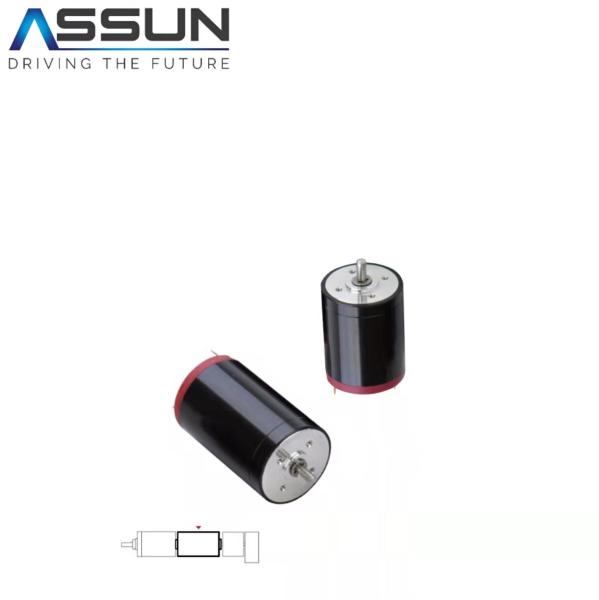 24V High Power Brushed Dc Motor , 9000 Rpm Electric Motor 32mm Length
