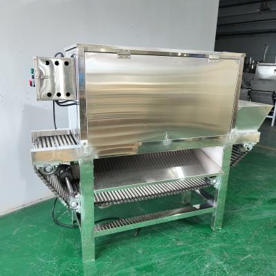 Commercial Professional Garlic Skin Dry Peeling Machinery Peeler Automatic Garlic Peeler For Sale