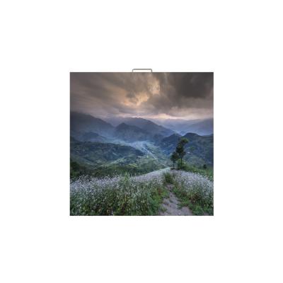P10 Led Outdoor Tv Billboard / High Definition Led Display 960*960mm Cabinet