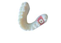O dente alto da coroa da zircônia da estabilidade PFM mancha resistente para a pesquisa