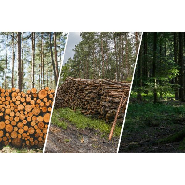 Электроинструмент 16 дюймовая промышленная электрическая цепная пила для резки дерева