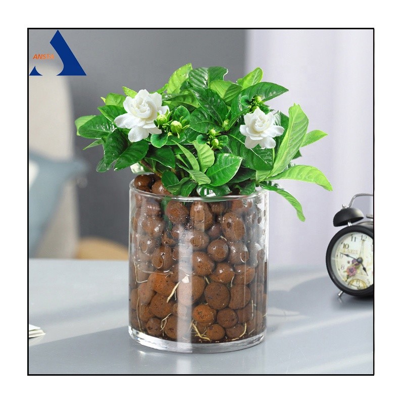 Lightweight LECA for Aquaponics Expanded Clay Balls for Hydroponics Bulk Density 250-450kg/M3