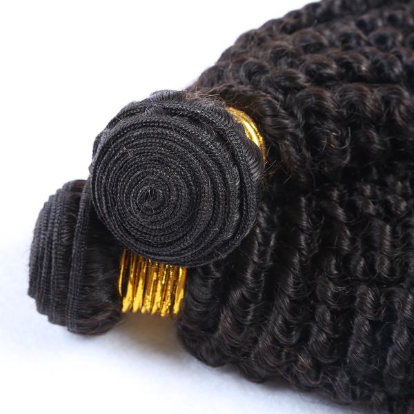 Natural Color Kinky Curl Original Brazilian Human Hair Wet and Wavy Weave