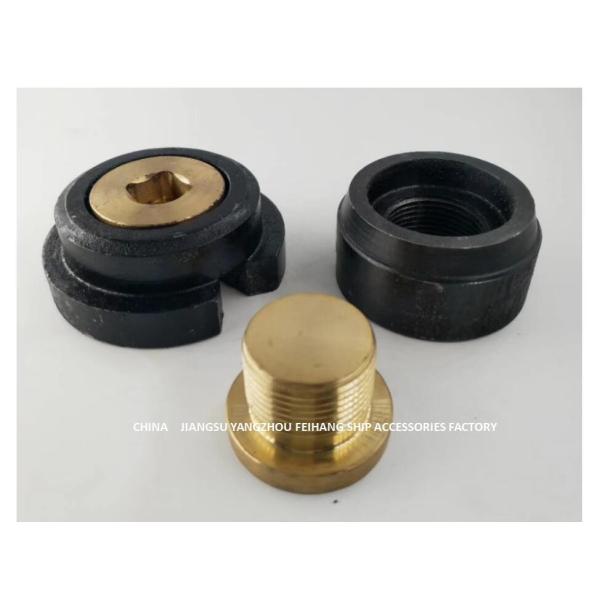 Дренажная пробка BW42-45H плеча танка нижняя, дренажная пробка BW42-45H латунного плеча нижняя