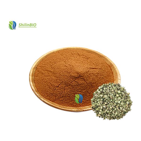 High Quality Natural 45%-95% Saponins Powder Tribulus Terrestris Extract
