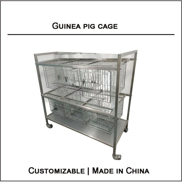 Intelligent Animal Laboratory Equipment Stainless Steel Pig Cat Dog Monkey Cage