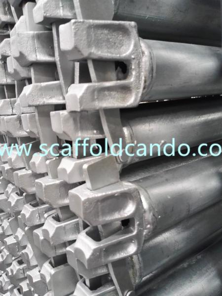 Factory specialized in Hot dip galvanized painted Ringlock scaffold ledger horizontal 1200,1500,1800mmL for sale