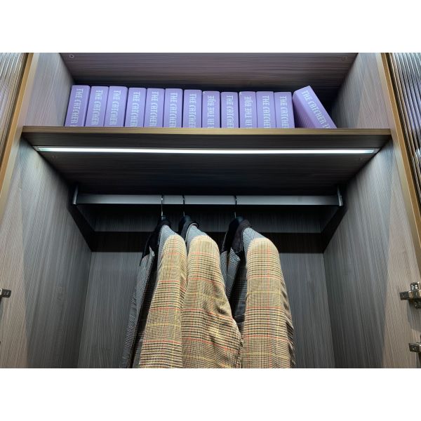 Modern Golden Aluminium Frame Wardrobe with LED Lighting and Customized Size for Bedroom