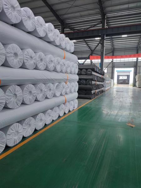 1m-8m Width HDPE Geomembrane Pond Liners for Fish Shrimp Farm Black White Green Blue
