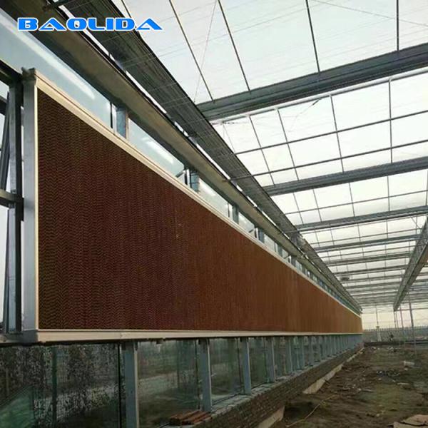 Eficiência elevada de prata do fã da pressão negativa do sistema de refrigeração molhado de papel da cortina