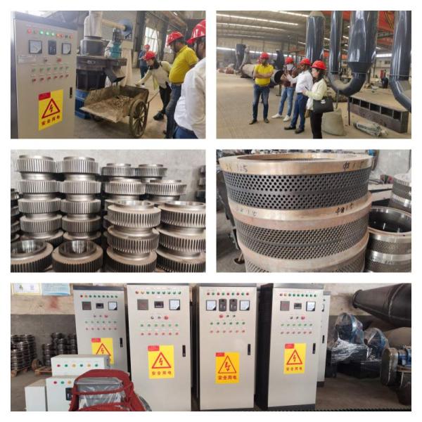 кольцо 1~3t/H умирает мельница лепешки древесины топлива биомассы с лепешками 8mm для отопления домов