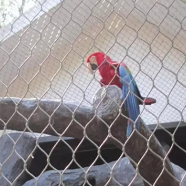 Hand Woven Flexible Stainless Steel Zoo Wire Mesh Cabel Net Bigger Hole