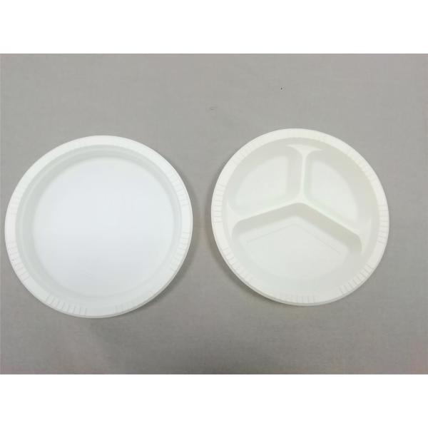 10 inch eco-friendly bioplastic plates for parties, church festivals, carnivals, school fairs