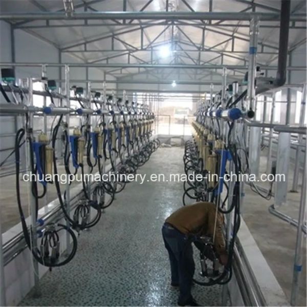 Herringbone Structure Automatic Milking System with Waikato Milk Meter and CE ISO SGS FDA Certification