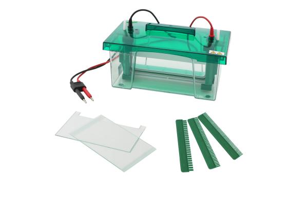 Jy-cz-b Protein Gel Electrophoresis Apparatus Rapid Ssr Vertical Electrophoresis