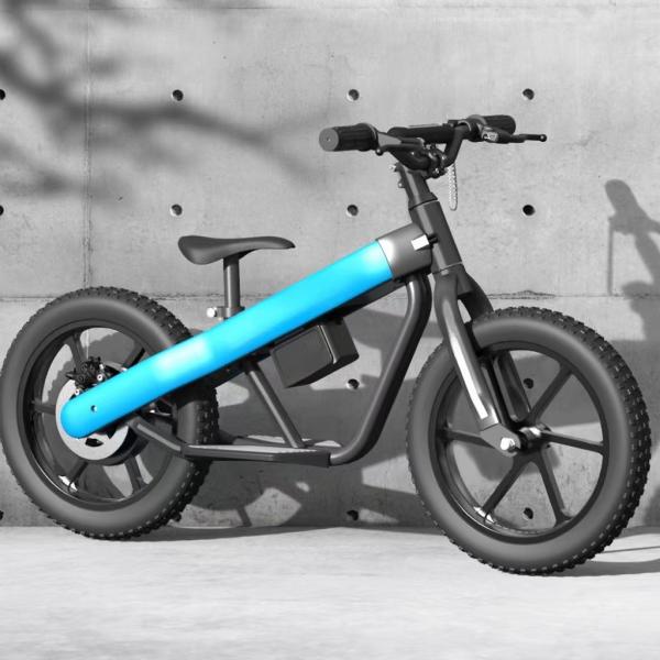 Aluminum Alloy Fork Material Kids Bike with Customized Supported Colors and Colors