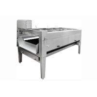 Arruela de aço inoxidável 5t/H da escova do fruto do equipamento industrial da trasformação de frutos