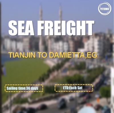 FOB CIF International Sea Freight Logistics From Tianjin To Damietta Egypt
