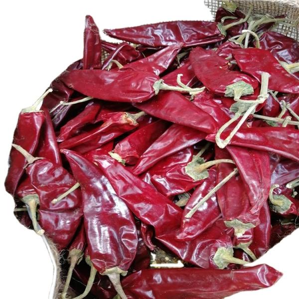Sélection de tiges de poivre rouge de paprika de catégorie A disponible 500SHU