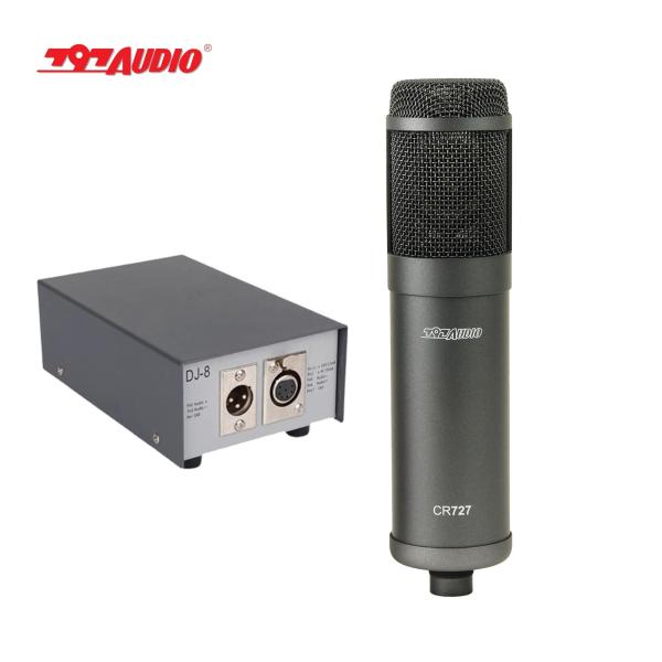 797AUDIO ATCR02 Large Diaphragm 7-PIN XLR Tube Condenser Microphone Karaoke Microphone Professionnel Vocal Recording Customized