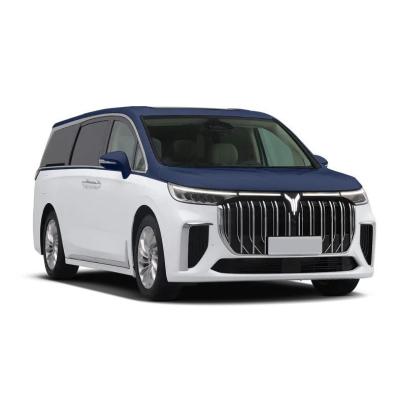 0 versão de carbono VOYAH Dreamer MPV