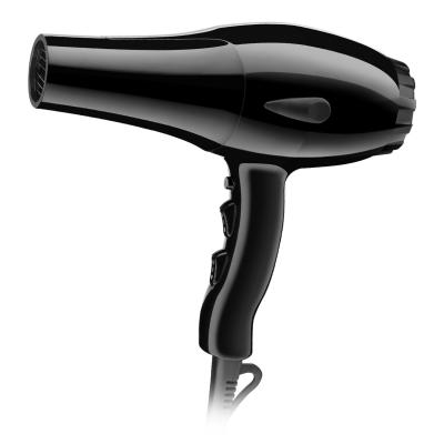 Secador de cabelo profissional da turmalina da C.A. com difusor do concentrador