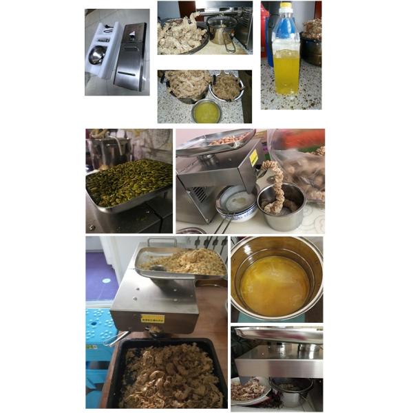 Home Household Stainless Steel Castor Oil Processing Equipment Cold Pressed Argan Marula Chia Seed Apricot Oil Press Machine 220V/50HZ