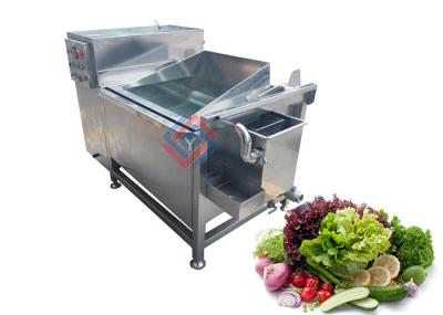 Fabricantes vegetais da máquina de lavar dos únicos espinafres frondosos do tanque