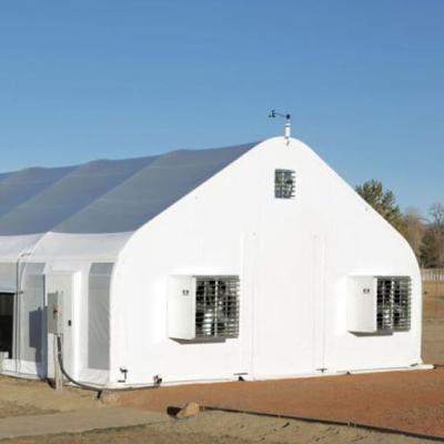 Agricultural Automated Plastic Tunnel Greenhouse Agriculture Tomato Growth
