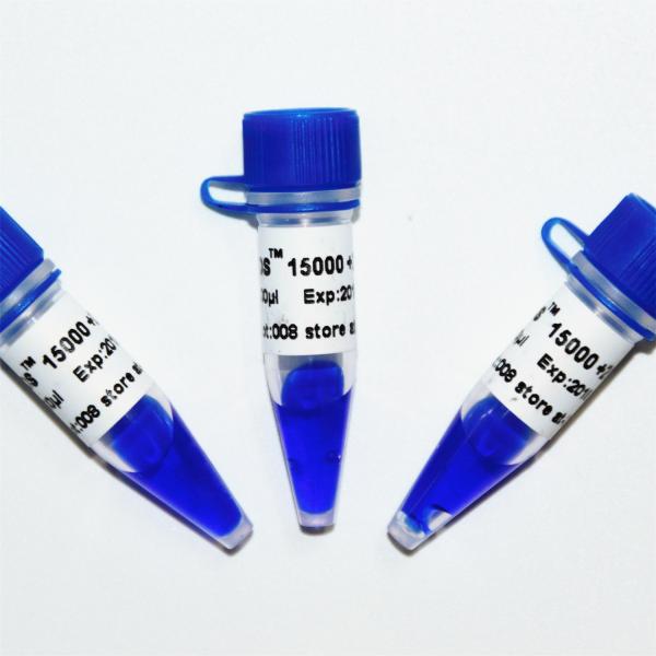 Лестница M1241 отметки ДНК DS 15000+2000 (50μg) /M1242 (5×50μg)