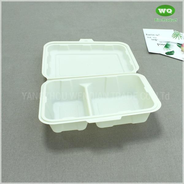 Food Grade Corn Starch PP 9x6 Inch 2 Compartments Lunch  Box,Factory Offer Renewable Resources Disposable Containers