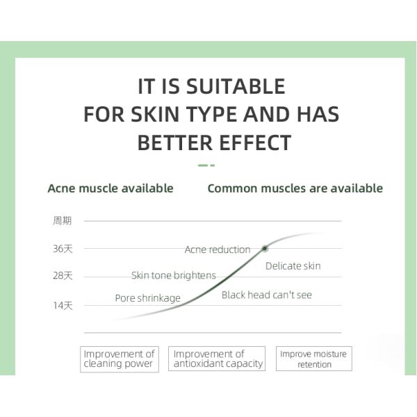 Cleansing Anti Acne Facial Clay Mask Face Mung Bean Purifying Green Mask